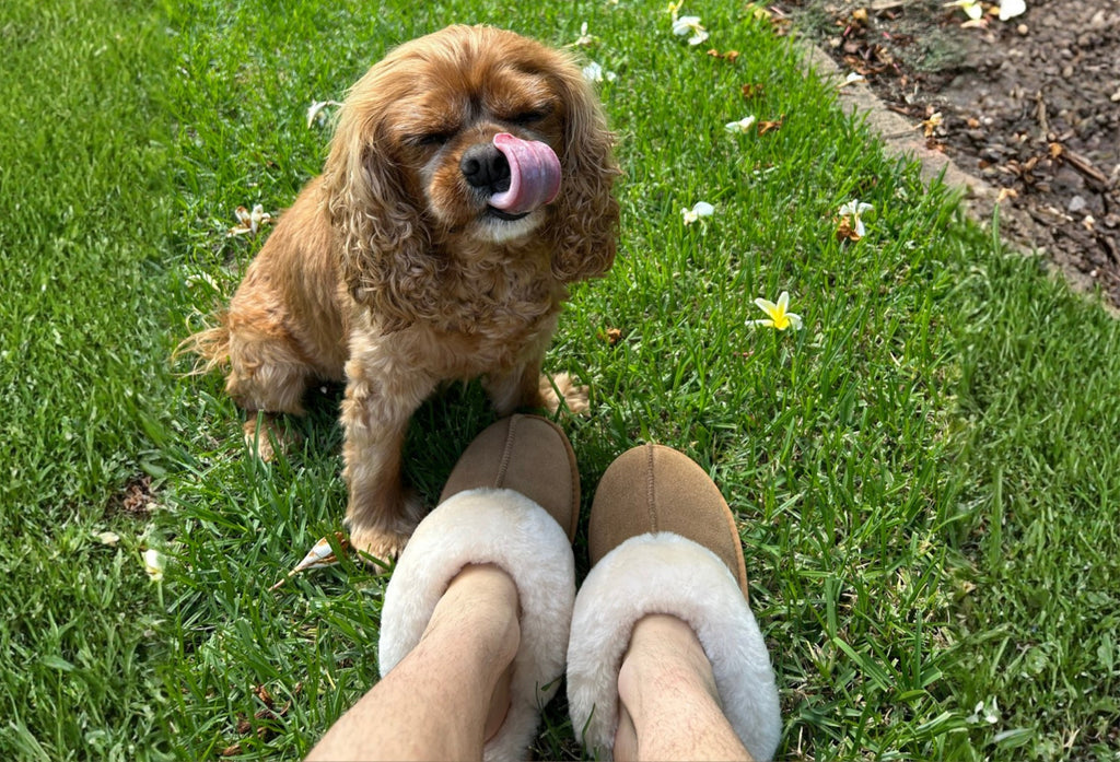 15 Ways to Style Your UGGs 👢✨