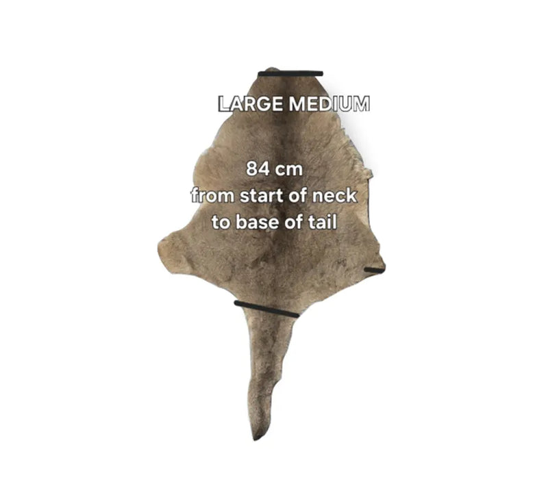 Bush Ugg Kangaroo Skin Rug M/l UGG EXPRESS