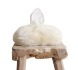 Auskin® LW Tissue Box Cover Plain Auskin