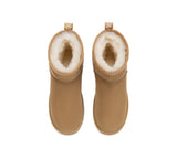 Elton UGG AUSTRALIAN SHEPHERD