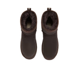 Elton UGG AUSTRALIAN SHEPHERD
