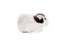 Genuine Australian  Decoration Sheep Rug